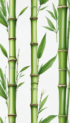 Fototapeta premium Bamboo stem in a lush tropical garden setting, isolated on a white background
