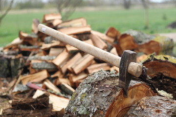 birch tree firewood and axe on stump