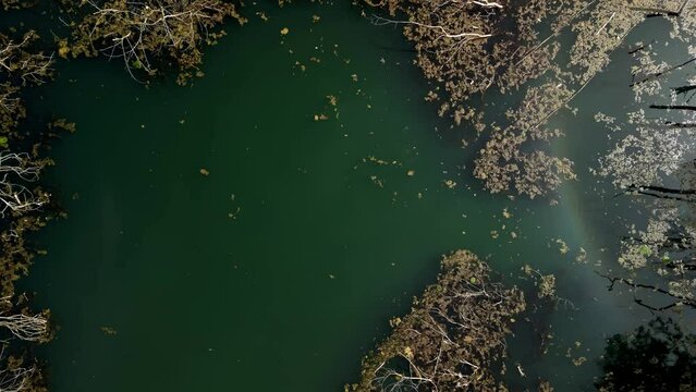 Aerial View of Bottle Green Water with Decaying Leaves, Broken Trees, Building, and Limestone Cliff This aerial view from a drone, captured from a wider perspective, shows a lake with bottle green wat