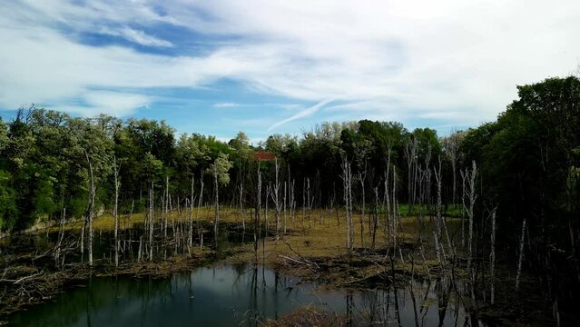 Aerial View of Lake with Nimbus and Cirrus Clouds, Dead Trees, and Limestone Cliffs This aerial view shows a lake scene with a mix of nimbus and cirrus clouds covering part of the sky. The lake is ado
