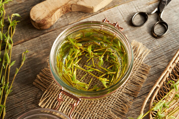 Preparation of herbal tincture from willow branches with buds and young leaves collected in early...