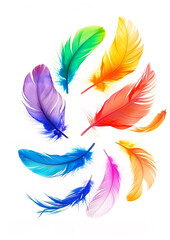 Flying colorful feathers isolated on white