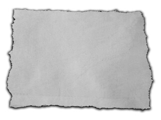 Piece of torn paper isolated on plain background 