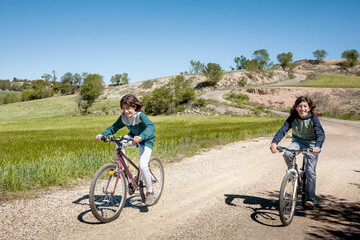 Obraz premium Twin brothers cycling on a way through meadows. Outdoor activities with the family.