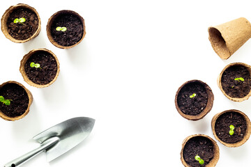Gardening at home. Passion fruit seedlings in peat pots, top view