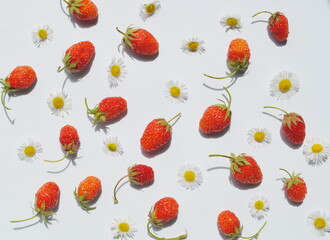 Strawberries and white chamomile flowers on a white background. Background, top view, copy, pattern.