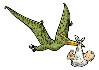 pterodactyl carries newborn baby color sketch engraving PNG illustration. T-shirt apparel print design. Scratch board imitation. Black and white hand drawn image. © Oleksandr Pokusai