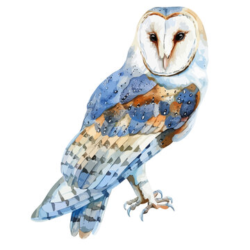 recommend clip art: Watercolor vector of a owl bird, isolated on a white background, design art, drawing clipart, Illustration painting, Graphic logo, owl vector 