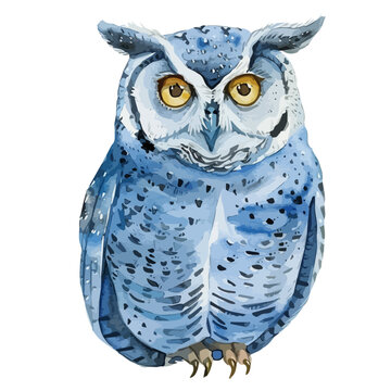 recommend clip art: Watercolor Illustration painting of a owl bird, isolated on a white background, owl clipart, owl vector, owl painting, owl art, drawing clipart, owl Graphic.