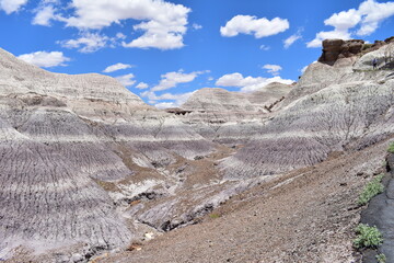 View of the colorful blue and purple mesa landscape in Petrified Forest National Park