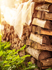 A pile of wood logs with some of them being cut. The pile is in the sun and has a rustic feel to it. Natural fuel for a home heating and cooking. Country side living.