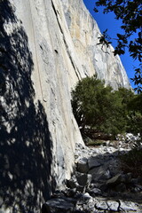 The valley base of the El Capitan granite rock climbing wall in Yosemite Valley