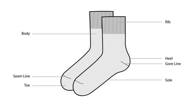 gray socks diagram with labeled parts clip art preview
