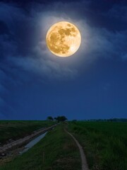 Fototapeta premium Full Moon Night Landscape Serene Country Path Underneath a Giant Moon