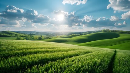 Obraz premium Beautiful Panorama of Rolling Green Fields. Spring or Summertime Background with White Fluffy Clouds and Natural Landscape