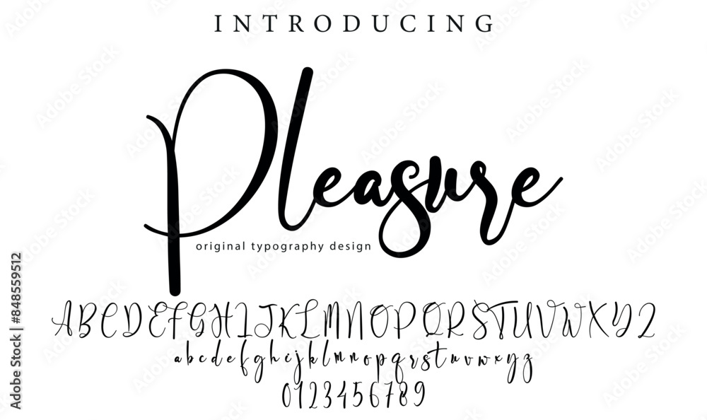Wall mural Pleasure Font Stylish brush painted an uppercase vector letters, alphabet, typeface - Wall murals