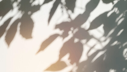 木の影が光に照らされて壁に映っている背景素材