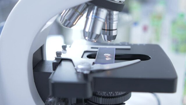 Laboratory examination under a microscope of a drop of water