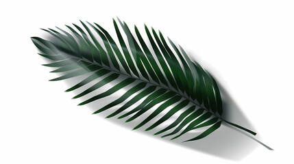 Fototapeta premium Realistic transparent shadow from a leaf of a palm tree on the white background. Tropical leaves shadow. Mockup with palm leaves shadow.