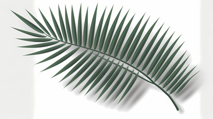 Obraz premium Realistic transparent shadow from a leaf of a palm tree on the white background. Tropical leaves shadow. Mockup with palm leaves shadow.