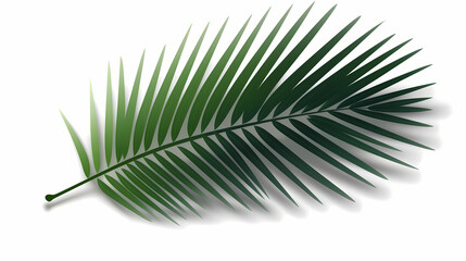 Obraz premium Realistic transparent shadow from a leaf of a palm tree on the white background. Tropical leaves shadow. Mockup with palm leaves shadow.