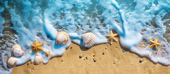 Concept of summer beach or sea with seashells and starfish on sandy shore, captured from a bird's-eye perspective with room for text.