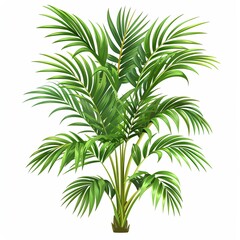 Obraz premium A parlor palm clipart, house plant element, vector illustration, green, isolated on white background