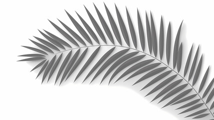 Fototapeta premium Realistic transparent shadow from a leaf of a palm tree on the white background. Tropical leaves shadow. Mockup with palm leaves shadow.
