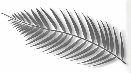 Realistic transparent shadow from a leaf of a palm tree on the white background. Tropical leaves shadow. Mockup with palm leaves shadow.