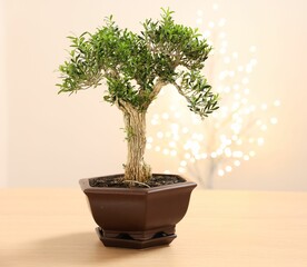 Beautiful bonsai tree in pot on wooden table, space for text