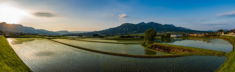 南阿蘇村_田植え後の田んぼに映える夕陽と阿蘇の風景
