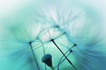 Macro shot of dandelion seed against blue sky with blurred seeds, emphasizing delicate texture