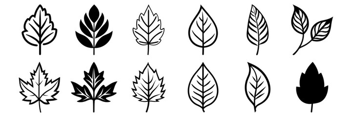 Leaf silhouettes set, pack of vector silhouette design, isolated background