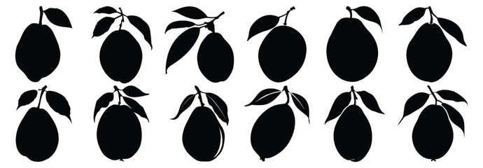 Pear silhouette set vector design big pack of illustration and icon