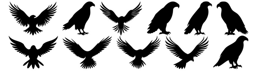Fototapeta premium Eagle silhouette set vector design big pack of illustration and icon