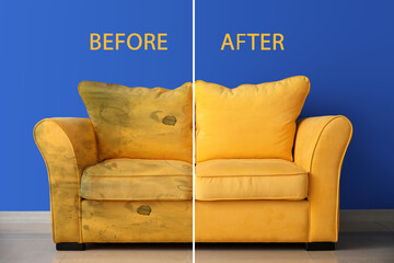 Stylish sofa near color wall in room