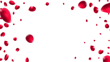 Valentine day background with red rose petals. Vector illustration. Celebration banner design with rose flying confetti, love day Singapore, summer valentine brazil, Mesh Gradient was used