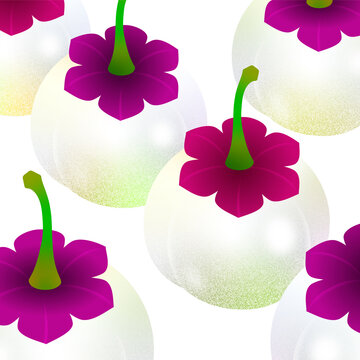 Luscious Plants, Katuk