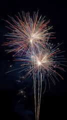 Fireworks exploding on a dark sky Fireworks on black background. Abstract background or wallpaper