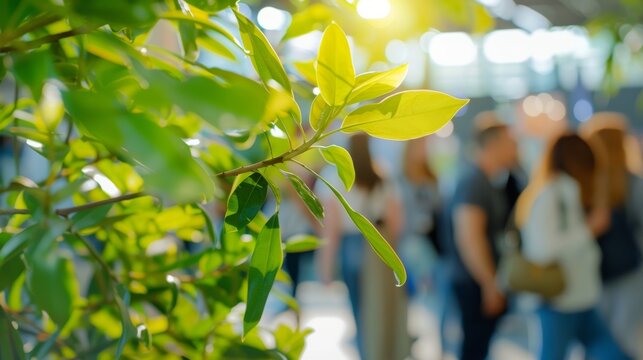 Soft focus captured the spirit of collaboration and sustainability at the ecofair.