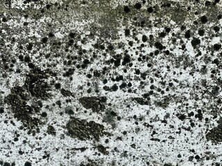 a photography of a black and white photo of a wall with black spots.