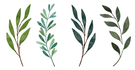 watercolor leaves branch