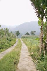 path in the mountains