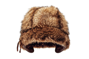 Brown Furry Hat isolated on white background