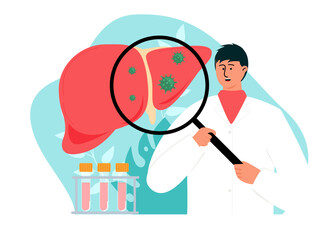 Male doctor research on liver. Medicine vector illustration