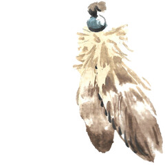 Watercolor feather illustration on transparent background.

