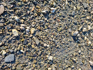 A close-up of a mudflat with pebbles.