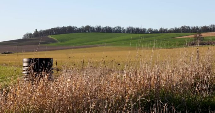 3 clips of Dry Grass Blowing in Wind in Front of Barbed Wire, Willamette Valley Oregon Farmland
