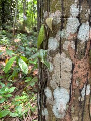 Thiruvananthapuram, central railway station, night, eye-level, illuminated, lights, bustling, travel, trains, passengers, motion, Kerala, India, transportation, architecture, urban, cityscape, station
