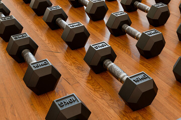 Dumbells on floor 10kg fitness sport workout 3d